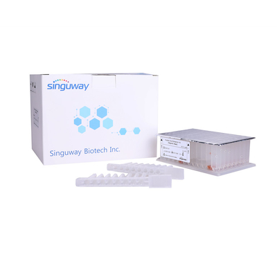 Purificazione virale acida nucleica Kit Singuway del RNA di Kit Magnetic Beads di purificazione del DNA