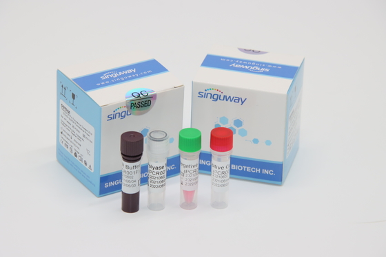 PCR Kit Nasal Swab Within diagnostico di RT del virus di mycobacterium tuberculosis 30 minuti