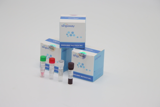 Rilevazione del virus VZV di zoster di Kit High Stability For Varicella della prova di PCR di RT del reagente di laboratorio