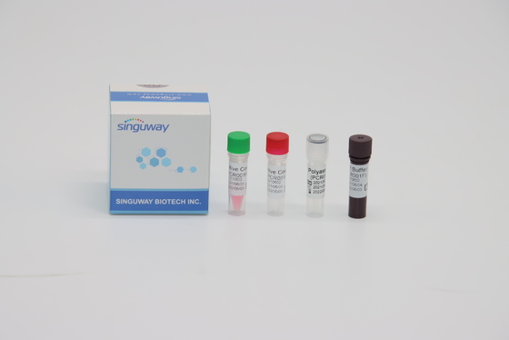 Corredo di prova acida di Kit Fluorescenza Probing Rapid Nucleic della prova di PCR di RT del virus di STB