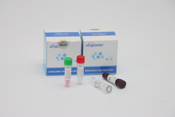 Prova veloce del virus di Kit Quantitative Fluorescent For HFMD della prova di PCR di RT