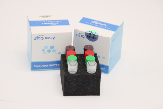 CE in tempo reale fluorescente di Kit Laboratory Use della prova del corredo HSV2 di PCR di RT di HCV