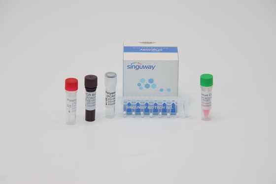 HPV 16 corredo nucleico ISO13485 della prova di PCR di RT di prova acida di 18 virus