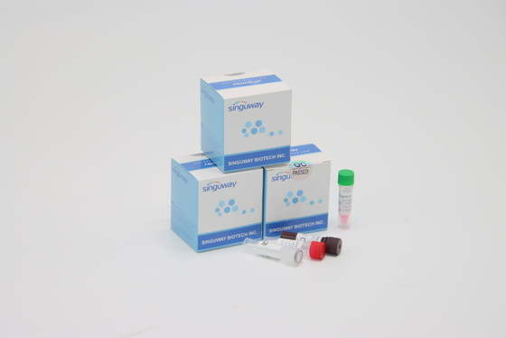 Alta precisione clinica istantanea di diagnosi del corredo POCT IVD della prova di PCR di RT del virus rapido di RSV