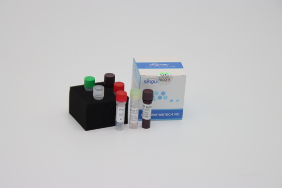 Rilevazione in tempo reale veloce multipla di Kit Reagents For Sars Virus di rilevazione di PCR di RT del laboratorio