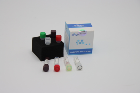 Corredo 48 di prova di PCR di RT del virus di influenza aviaria corredo nasale della prova del tampone di 96 prove