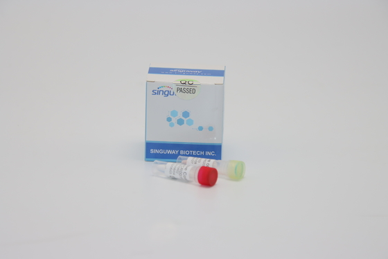 Corredo nucleico di PCR di PCR Kit Nasal Swab Fluorescent RT di RT di febbre rompiossa di prove acide