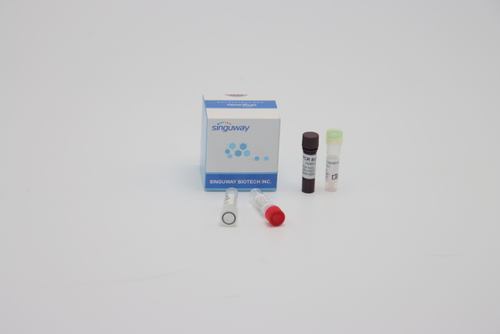 Reagenti quantitativi ISO13485 di reazione di PCR della multisala del campione orale del tampone