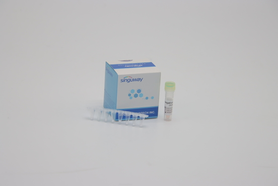 La prova FluA del DNA pasticcia la PCR Kit For Lab Using di RT di punto del corredo 1 di rilevazione di PCR