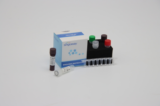 Rilevazione quantitativa Kit Reagent ISO13485 di PCR di diagnosi molecolare entro 30 minuti