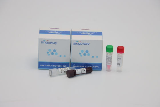 Fluorescenza che sonda prova dell'adenovirus di ADV di Kit Nasal Swab Sample For di rilevazione di PCR