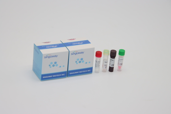 Punto QPCR Kit Oral Swab For Lab di Alpha Beta Delta Gamma Mutations One facendo uso di