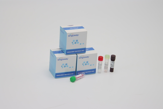 Alto laboratorio di Kit Alpha Beta Delta Gamma Mutations For di rilevazione di PCR di sensibilità facendo uso di