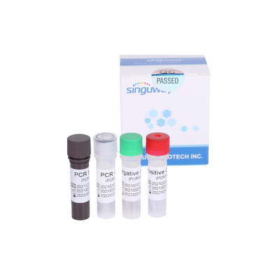 Corredo veloce O nord-est Gene rilevamento Fluorescenza Sonda della prova di PCR di RT del coronavirus di Singuway