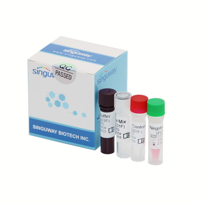 Copie/ml in tempo reale di Kit Fluorescent Sonda 50 di rilevazione di PCR di alta precisione Covid-19