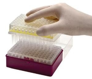 La pipetta di consumo di PCR del laboratorio fornisce di punta le punte eliminabili 10-1250μL della micropipetta
