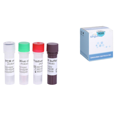 Corredo rapido di PCR di RT di HCV di Kit Quantitative della prova di HCV del RNA del virus dell'epatite C