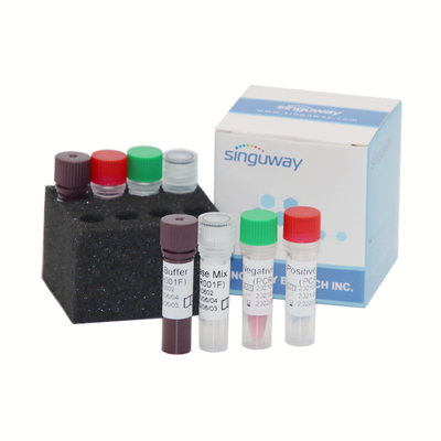 Sensibilità qualitativa domestica 2000 di copie/ml del volume di MTHFR Gene Test Kit 50uL