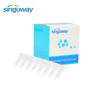 15 tipi PCR qualitativa in tempo reale Kit For Human del corredo 40uL HPV di PCR di HPV