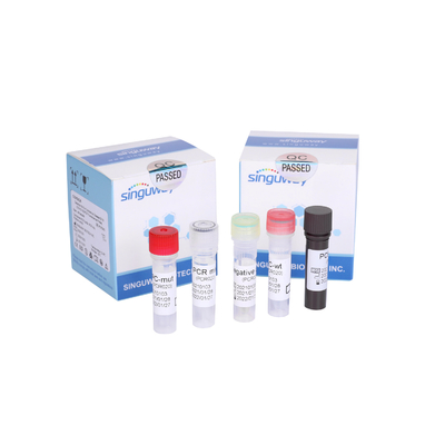 Corredo ultraveloce altamente sensibile di rilevazione di PCR di Kit Fluorescent Sonda RT della prova di PCR di RT