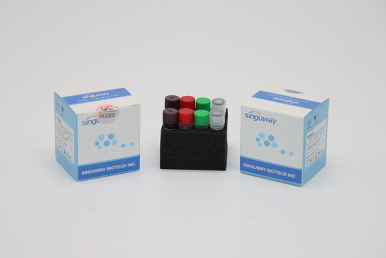 Super Sensitive di Kit Collection IVD della prova di PCR di RT del virus della rabbia H1N1 per l'ospedale