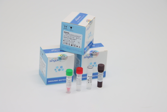 Laboratorio facendo uso del corredo doppio del campione del tampone di LP dei corredi della prova di PCR Covid di RT del virus di media clinici di PCR