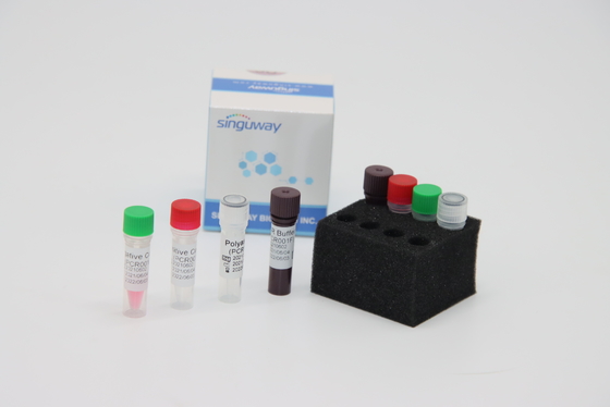 Reagente di laboratorio altamente accurato orale del corredo IVD della raccolta di PCR di RT del tampone per prova del virus di ADV