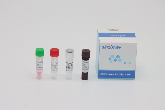 CMV prova Kit tempo reale Nucleic Acid di PCR di RT del virus che prova ISO13485