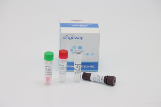 Virus molecolare quantitativo di Kit tempo reale For HPV Tox della prova di PCR di RT di diagnosi