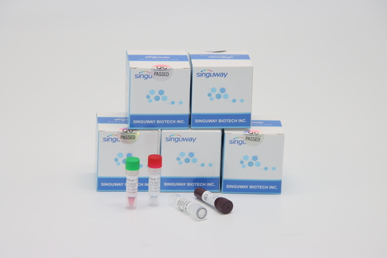 Corredo ultraveloce di PCR di TB di Kit Lab Using di prova di PCR di RT del virus di talassemia