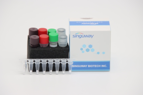 Virus rapido quantitativo del virus H7N9 di PCR Kit For Avian Influenza A di IVD RT