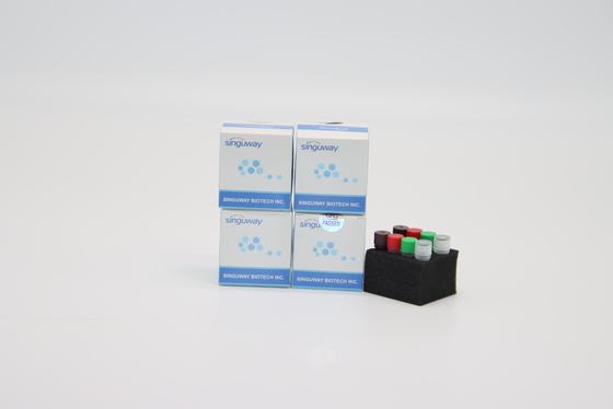 Corredo in tempo reale di rilevazione di PCR di HIV di PCR della prova di diagnosi clinica istantanea del corredo POCT IVD
