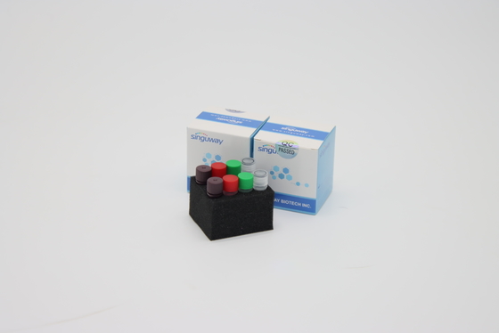 Rilevazione difficile genetica Kit With ISO9001 ISO13485 di PCR del DNA del virus della rabbia