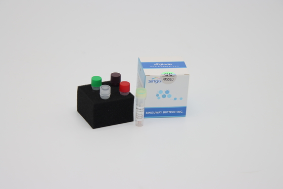 Volume in tempo reale di reazione del corredo 20uL di amplificazione di PCR del corredo di rilevazione di PCR di HCV di HBV