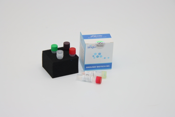 PCR ultraveloce di Kit Reagents Required For di rilevazione di PCR del DNA del virus della rabbia