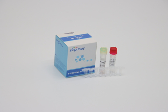 Fluorescenza in tempo reale clinica dei reagenti di PCR di diagnosi IVD che sonda un corredo di PCR di punto