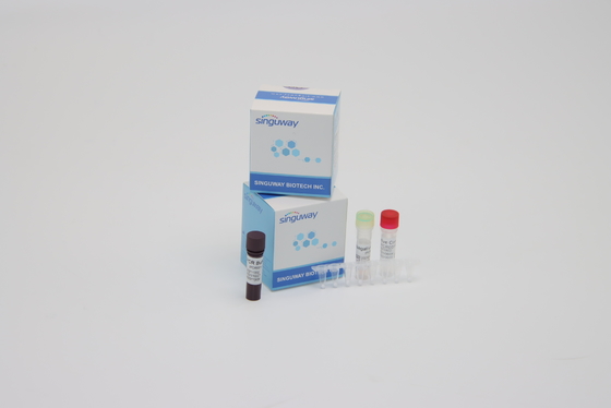 Reagenti in tempo reale multipli di PCR Kit Coronavirus Nucleic Acid rilevamento del Super Sensitive