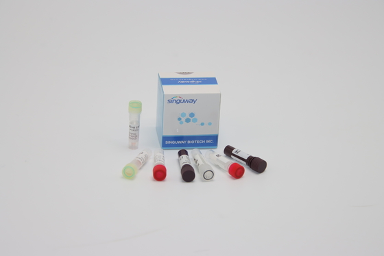 Rilevazione Kit Nucleic Acid Genetic Testing di PCR di ORF1ab HPV per la diagnosi clinica