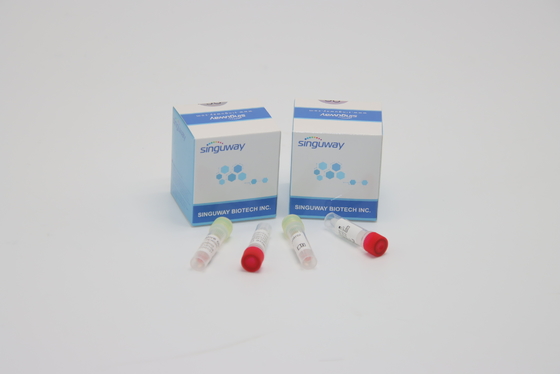 Prova Kit Hepatitis B del tampone di PCR del CE e diagnosi clinica dei corredi della prova di C