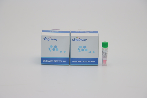 Pilori rapidi HP di PCR Kit Lab Reagent For Helicobacter di RT di punto di alta precisione un