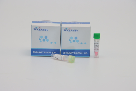 Prova di Kit Quantitative Fluorescent For Genetic di rilevazione di PCR del virus di Singuway HSV II
