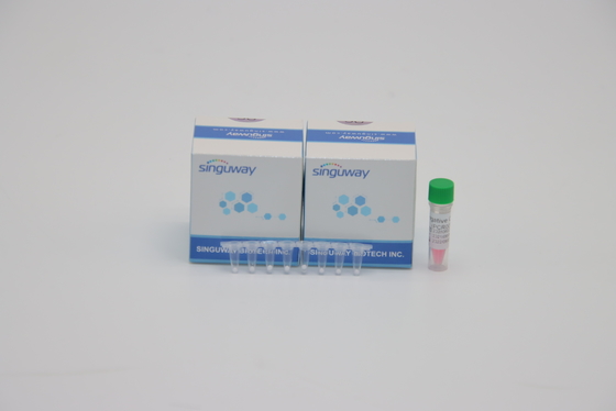 DNA del corredo di rilevazione di PCR di TB di mycobacterium tuberculosis del laboratorio POCT IVD che prova ISO9001