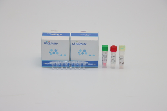 Corredo della prova di PCR di HIV delle prove di PCR Kit Highly Sensitive 96 di tempo reale di punto di influenza B una di influenza A
