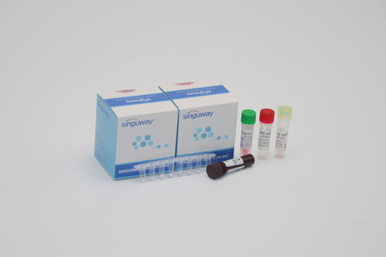 Rilevazione diagnostica virale sinciziale respiratoria Kit Nasal Swab di PCR del corredo RSV di PCR di RT