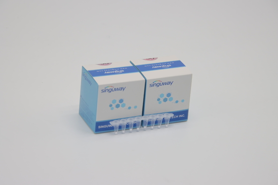 Prova rapida in tempo reale Kit Lab Reagent ISO13485 di epatite B del corredo HBV di PCR di alto HCV di stabilità