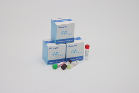 Corredi diagnostici in tempo reale di PCR della prova del coronavirus del CE ultraveloci entro 30 minuti