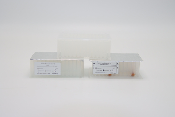 Alti campioni virali acidi nucleici puri ISO13485 del corredo 96 di isolamento del RNA