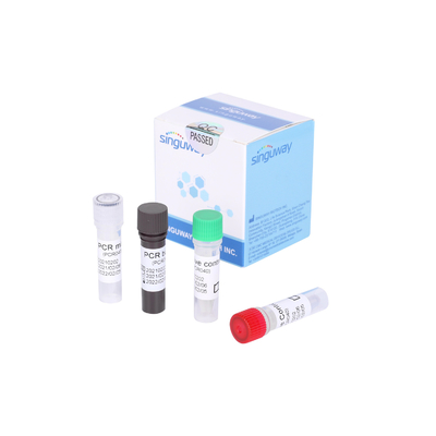 Prova rapida in tempo reale veloce Kit rilevamento Within di PCR di Covid 19 30 minuti