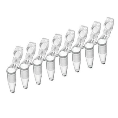 Bande a tubo buone eliminabili di plastica di PCR degli accessori di PCR del laboratorio 8